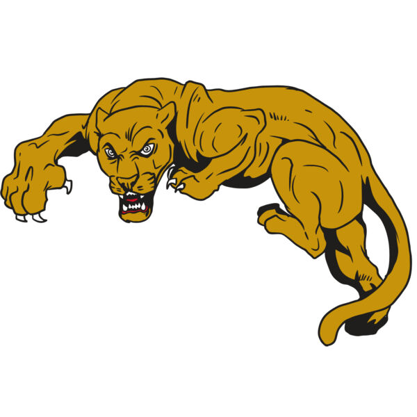 AR10 PANTHER 02 RQC Thumbnail