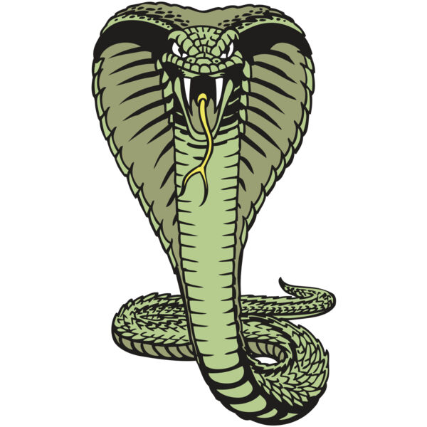 BAW SNAKE 15 RC Thumbnail