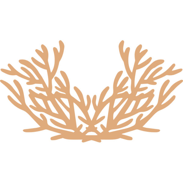 Sea Plants Thumbnail