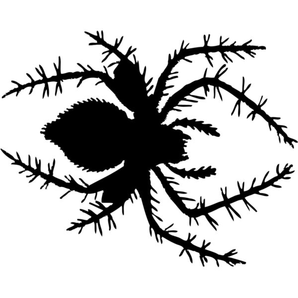 Spider Silhouette 13 Thumbnail