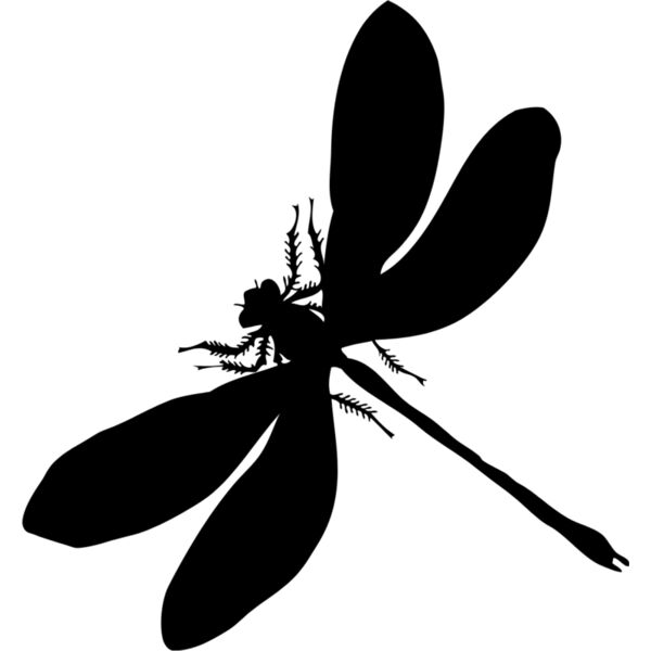 Dragonfly Silhouette 4 Thumbnail