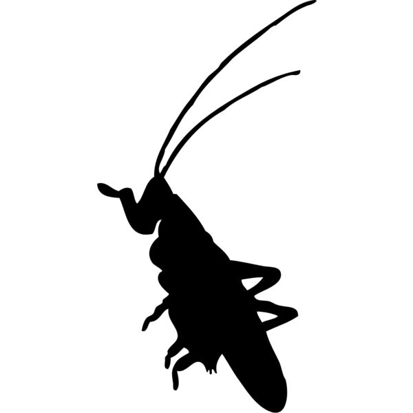 Bug Silhouette 11 Thumbnail