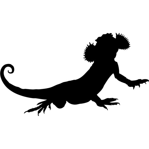 Lizard Silhouette 10 Thumbnail