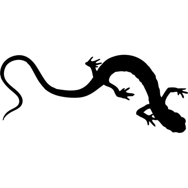 Lizard Silhouette 6 Thumbnail