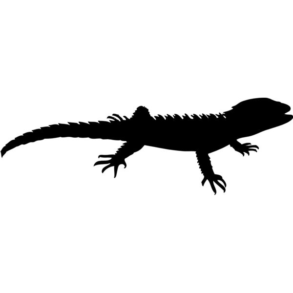 Lizard Silhouette 1 Thumbnail