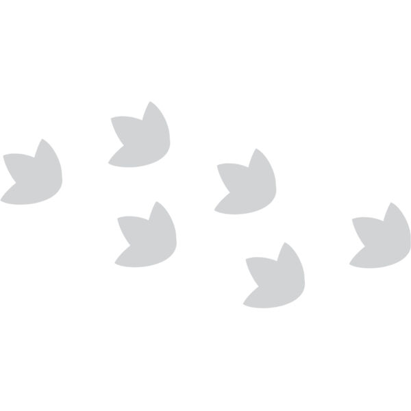 Cartoon Dinosaur Foot Prints 1 Thumbnail