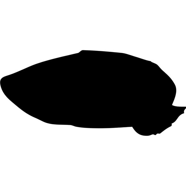 Shell Silhouette 7 Thumbnail