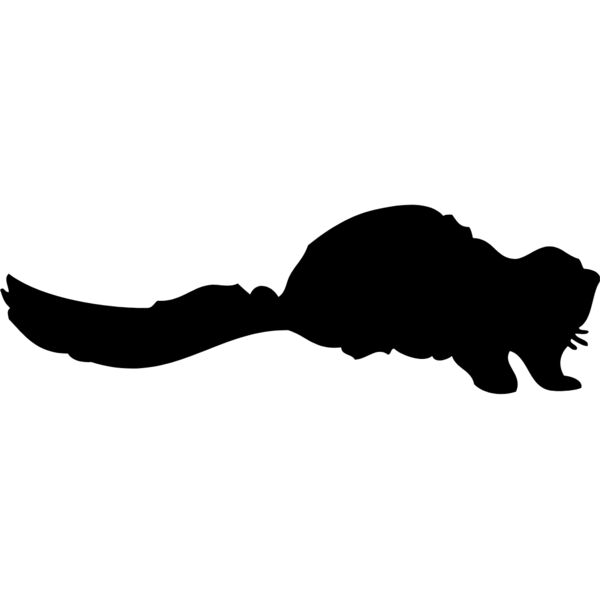 Ferret Silhouette 7 Thumbnail