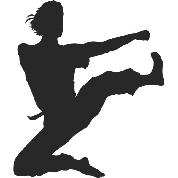 Martial Arts Fighter Silhouette 6 Thumbnail
