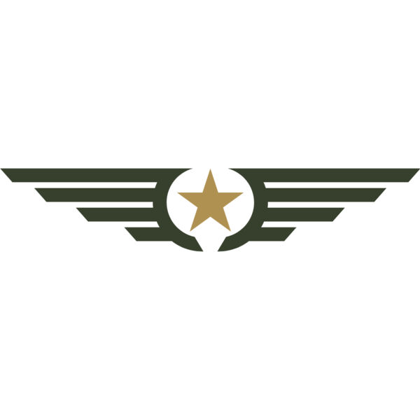 Military Star Wings Emblem 4 Thumbnail